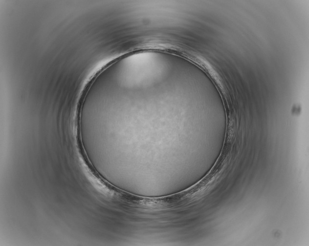 X0000090780795200708172127