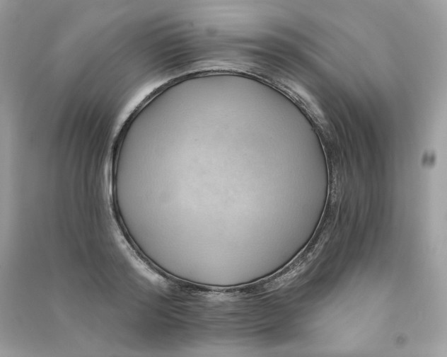 X0000090780796200708172127
