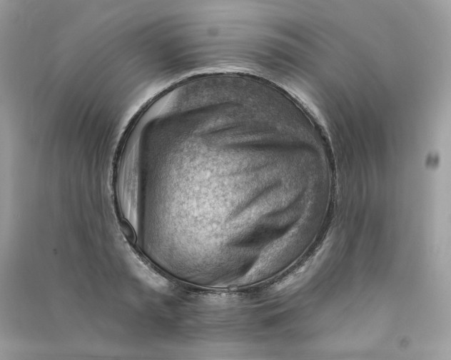 X0000090780797200708172127