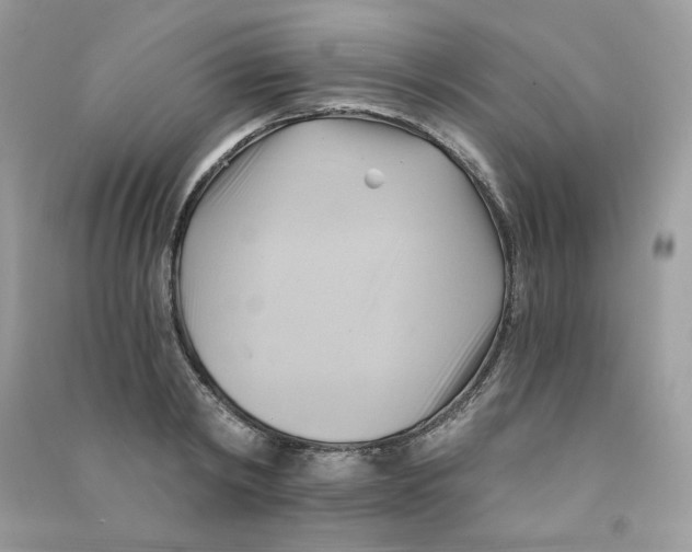 X0000090780798200708172127