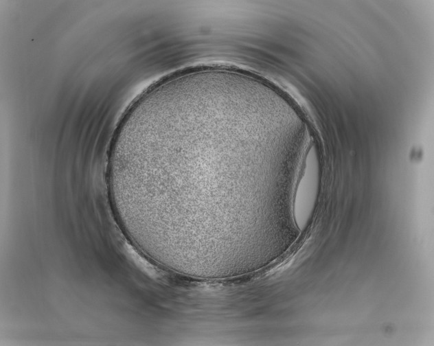 X0000090780799200708172127