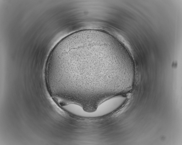 X0000090780803200708172126
