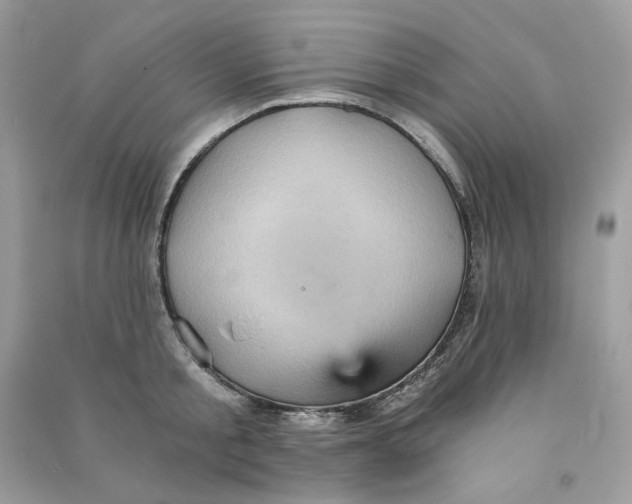 X0000090780805200708172126