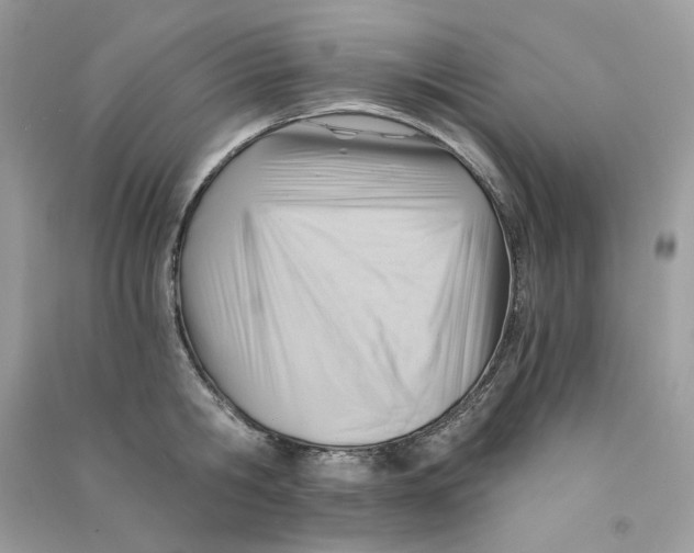 X0000090780806200708172126