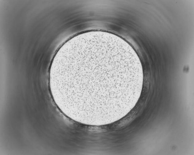 X0000090780807200708172126