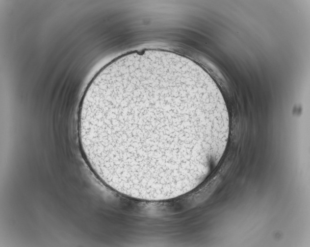X0000090780808200708172126