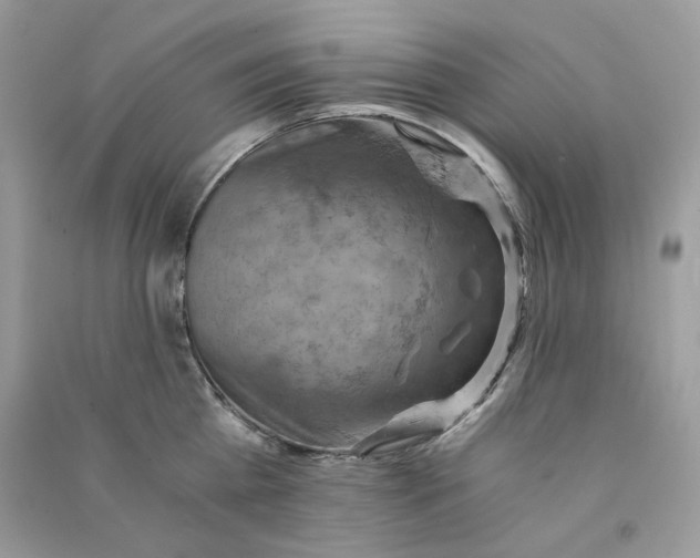 X0000090780809200708172126