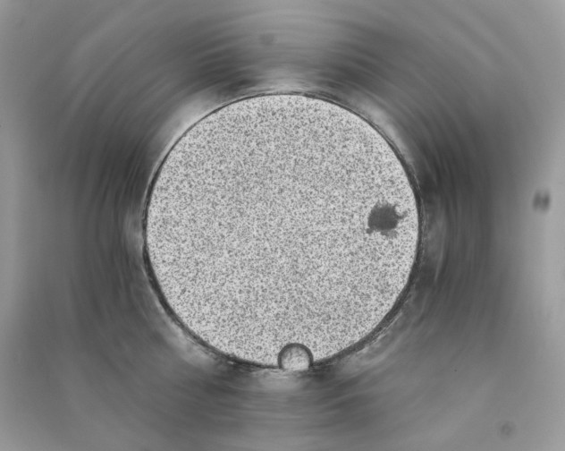X0000090780810200708172126