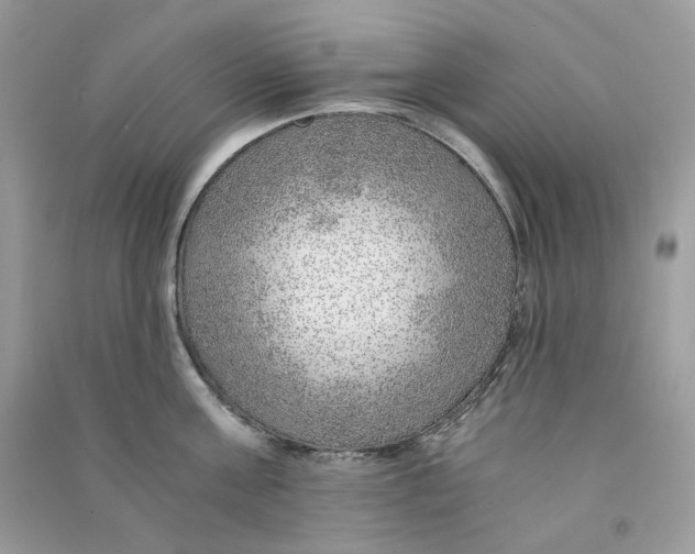 X0000090780811200708172126
