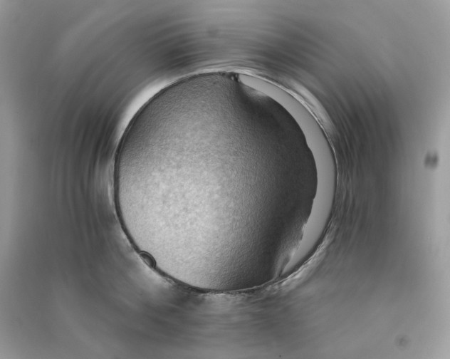 X0000090780812200708172126