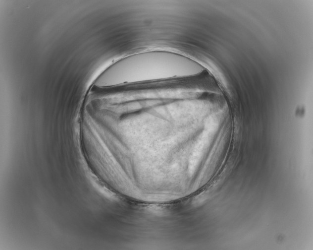 X0000090780814200708172126