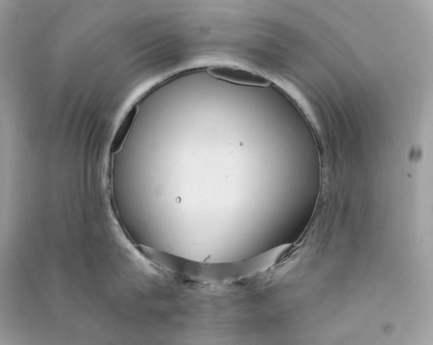 X0000090780815200708172126