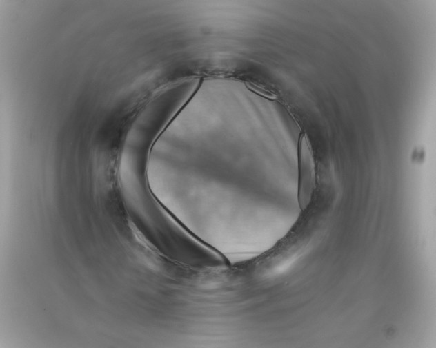 X0000090780818200708172126