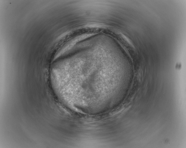 X0000090780821200708172126