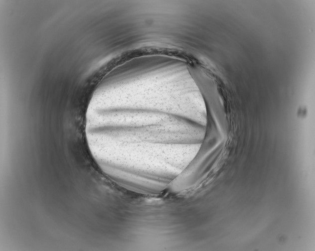 X0000090780822200708172126