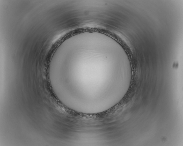 X0000090780823200708172126