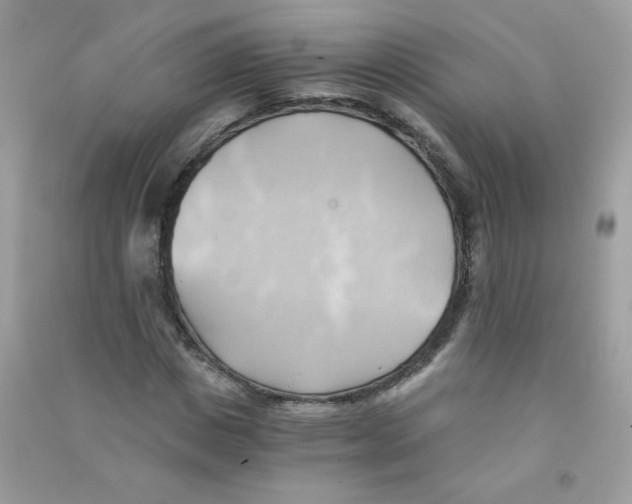 X0000090780825200708172126