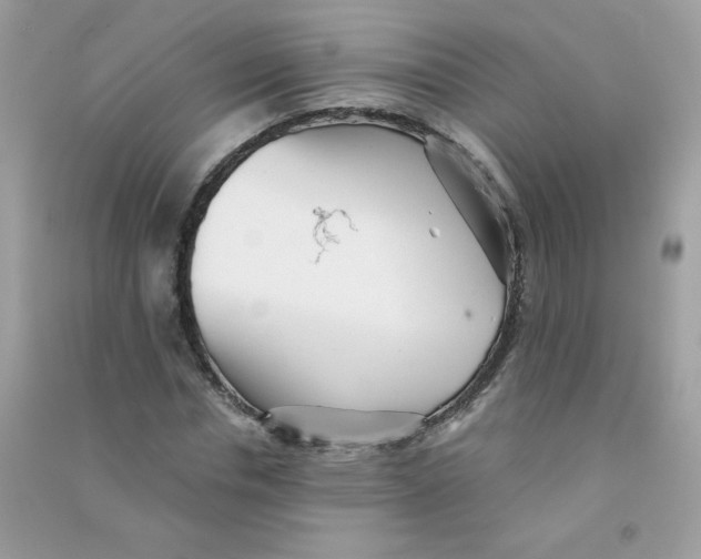 X0000090780826200708172126