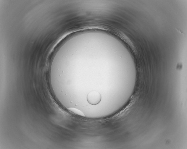X0000090780828200708172126