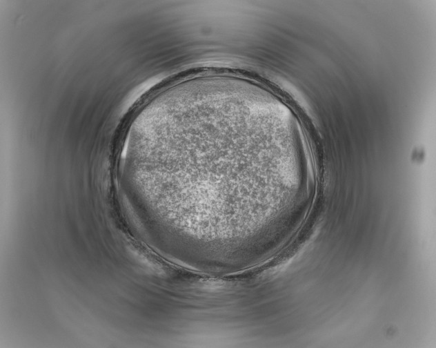 X0000090780829200708172126