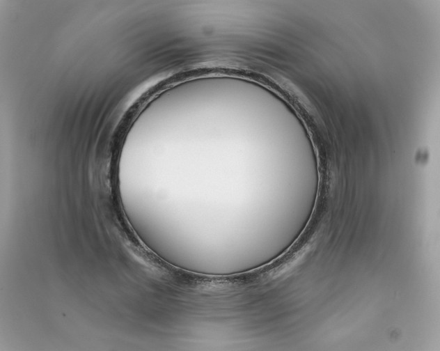 X0000090780830200708172126