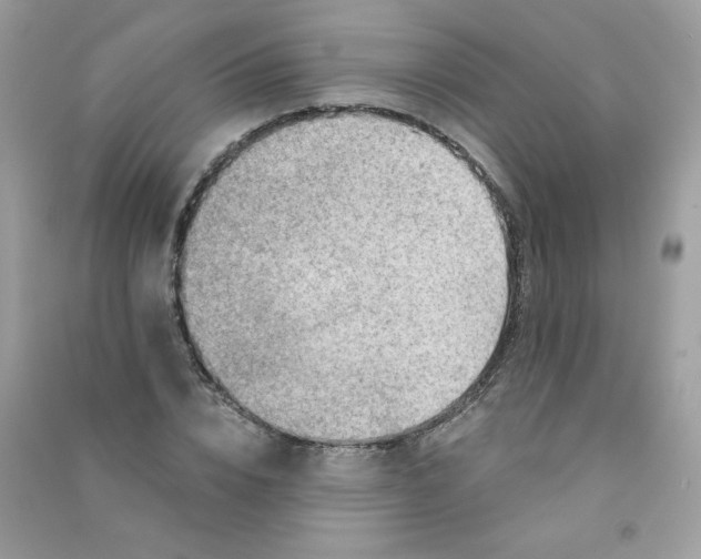 X0000090780832200708172126