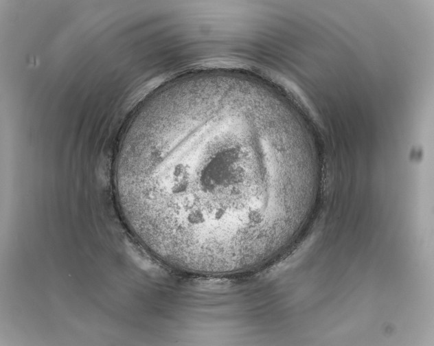 X0000090780833200708172126