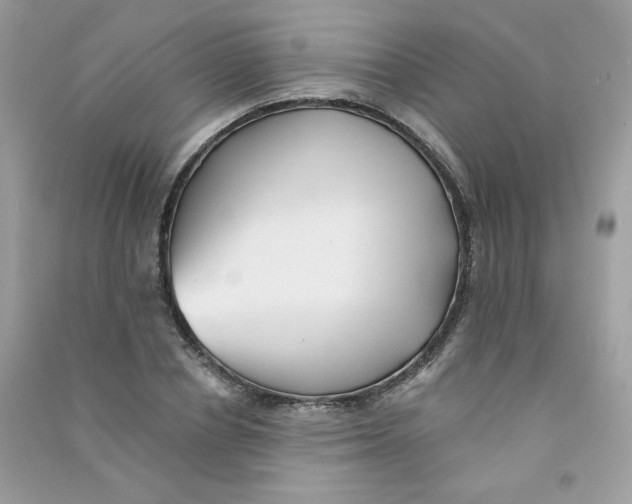 X0000090780834200708172126