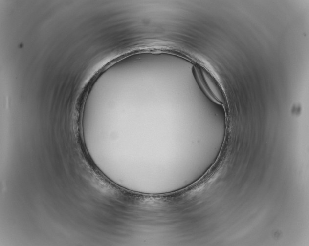 X0000090780835200708172126