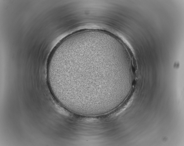 X0000090780837200708172126