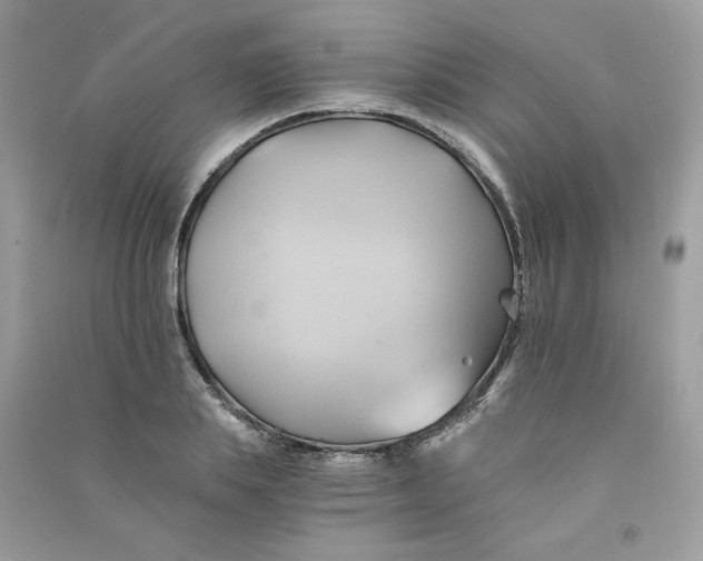 X0000090780839200708172126