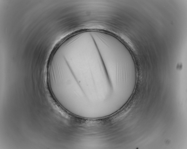 X0000090780840200708172126