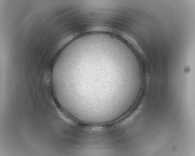 X0000090780841200708172126