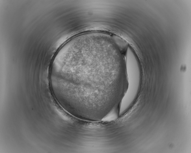 X0000090780842200708172126