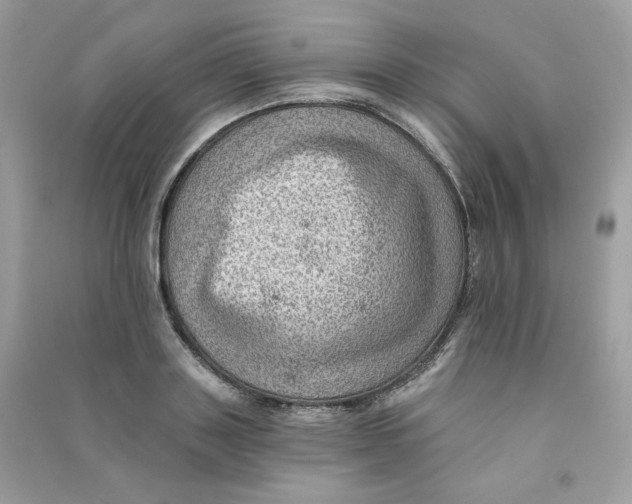 X0000090780843200708172126