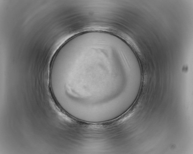 X0000090780844200708172126