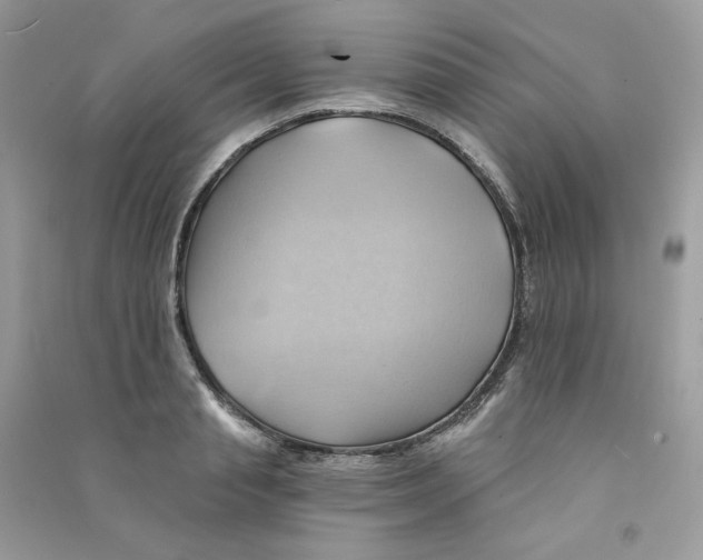 X0000090780845200708172126