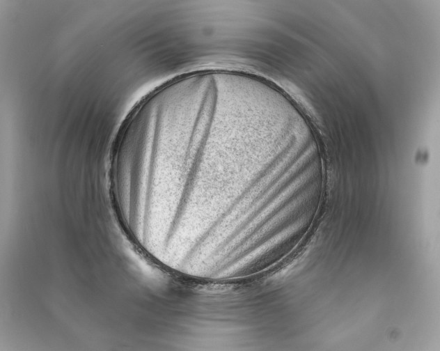 X0000090780846200708172126