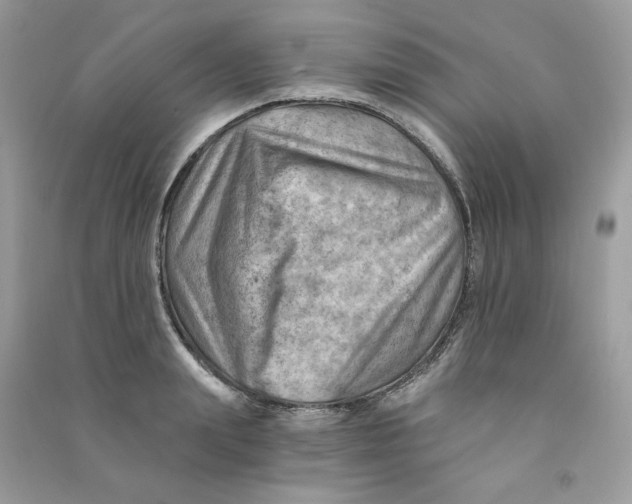 X0000090780847200708172126
