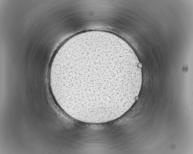 X0000090780848200708172126