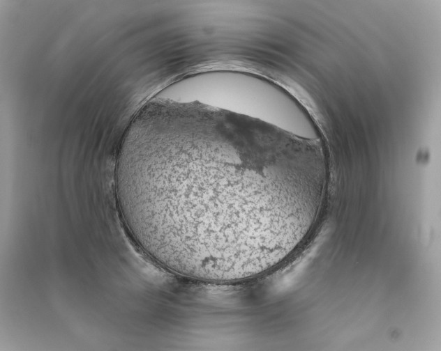 X0000090780849200708172126