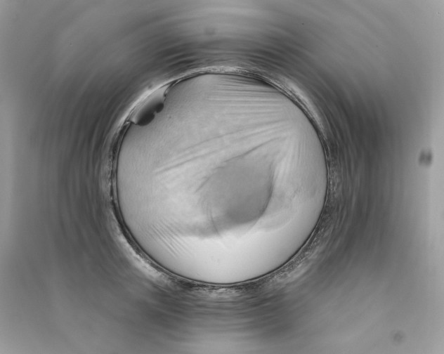X0000090780851200708172126