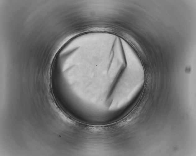 X0000090780852200708172126