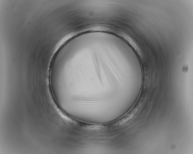 X0000090780853200708172126