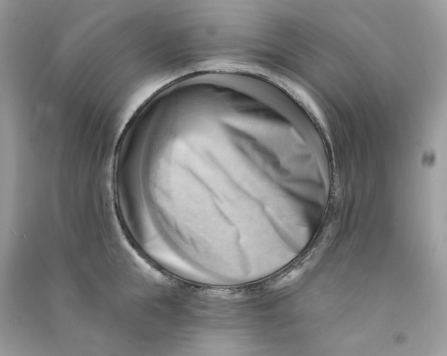 X0000090780855200708172126
