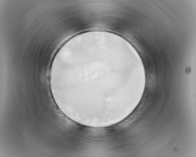 X0000090780856200708172126