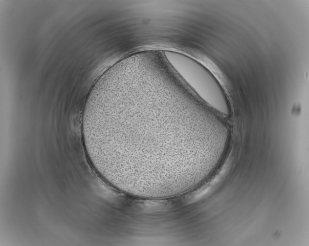 X0000090780857200708172126