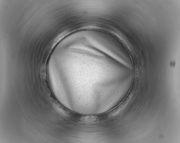 X0000090780858200708172126