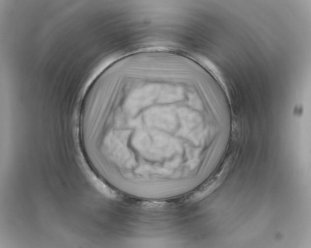 X0000090780859200708172126