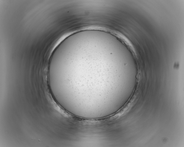 X0000090780860200708172126
